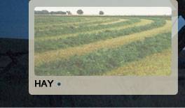 Hay bales