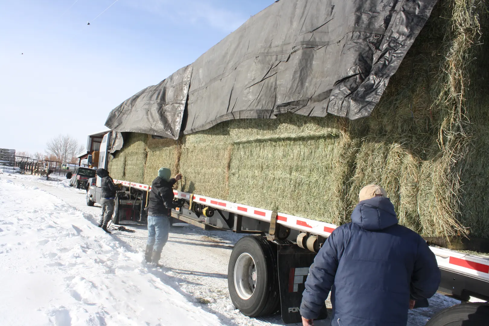 truckload of hay